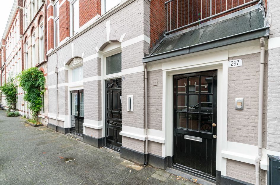 Newtonstraat 297