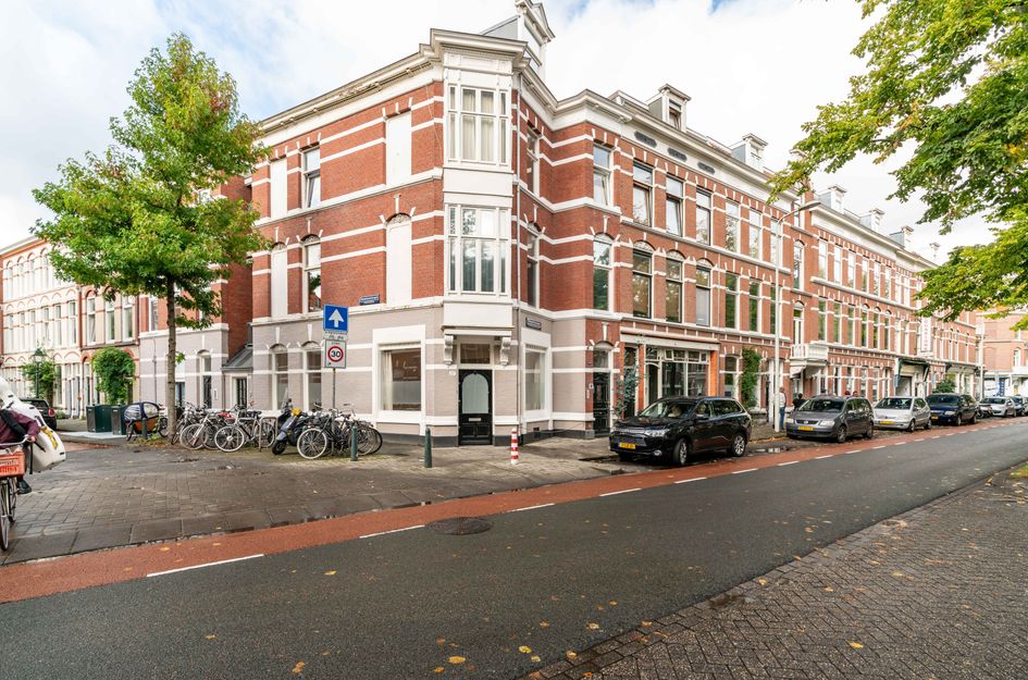 Newtonstraat 297