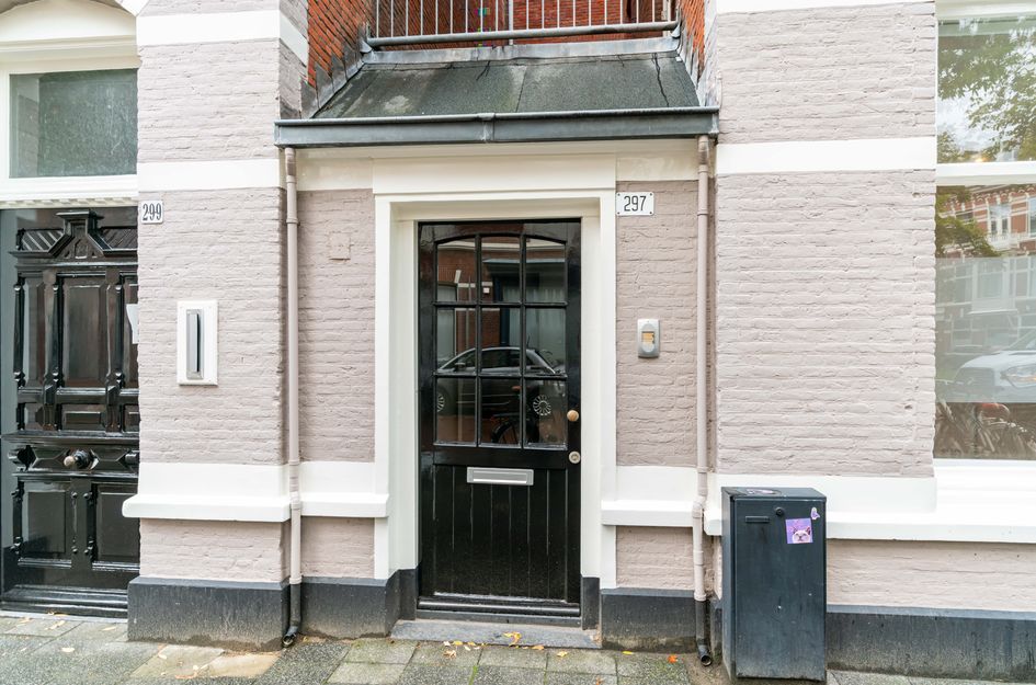 Newtonstraat 297