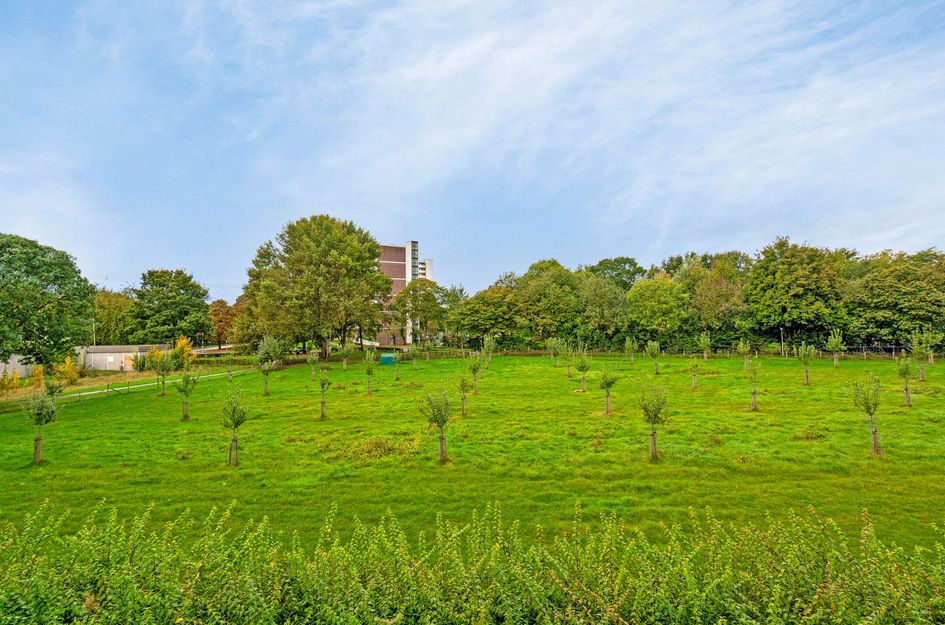 Schippersdreef 38B