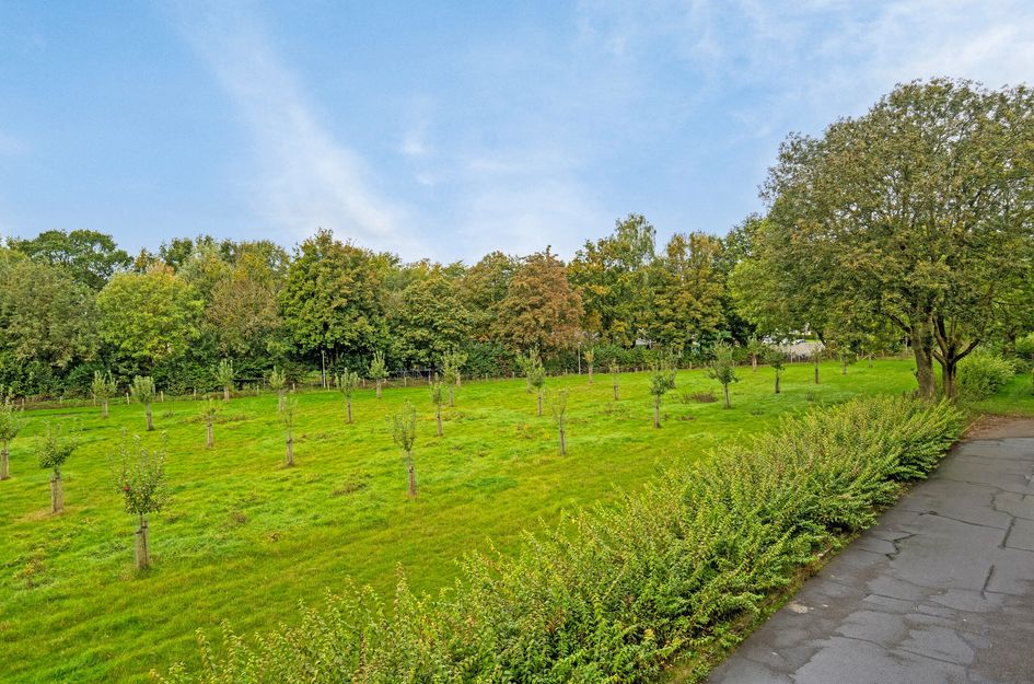 Schippersdreef 38B