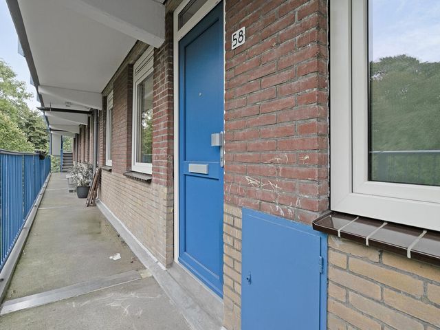 Fluitekruidweg 58, Zaandam