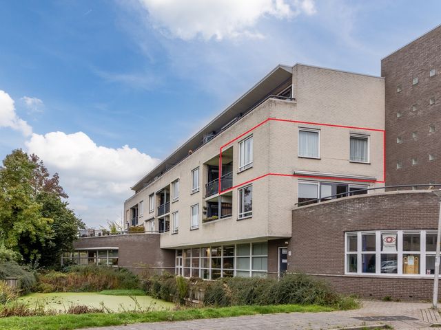 Fluitekruid 38, Den Hoorn