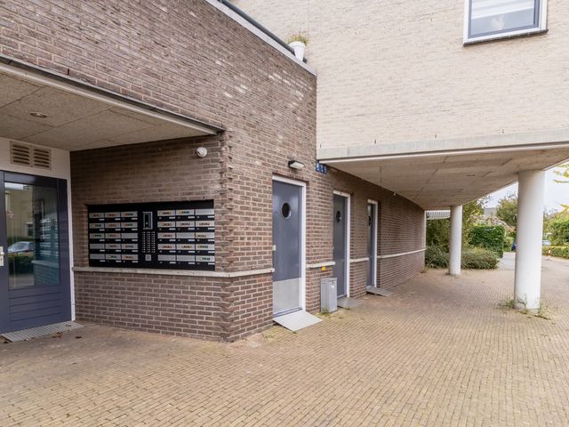 Fluitekruid 38, Den Hoorn