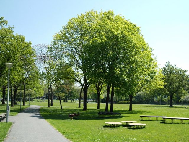 Veldstraat 62, Rotterdam