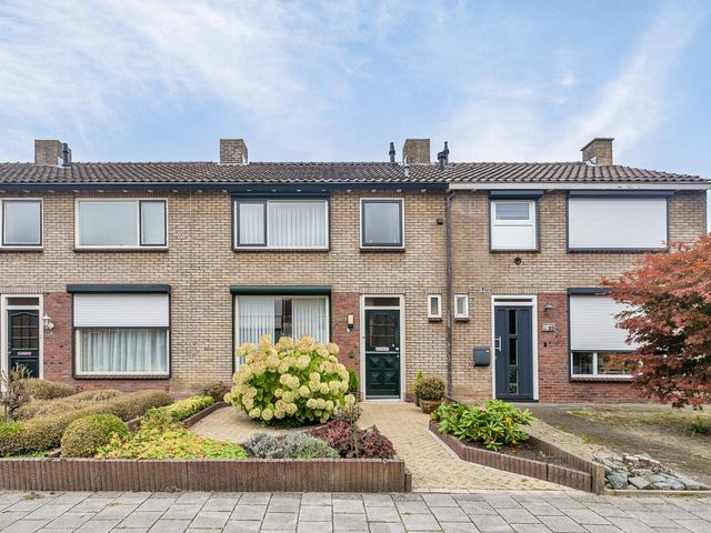 Pieter de Hooghstraat 35, Terneuzen