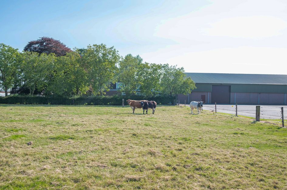 Rijnlanderweg 787