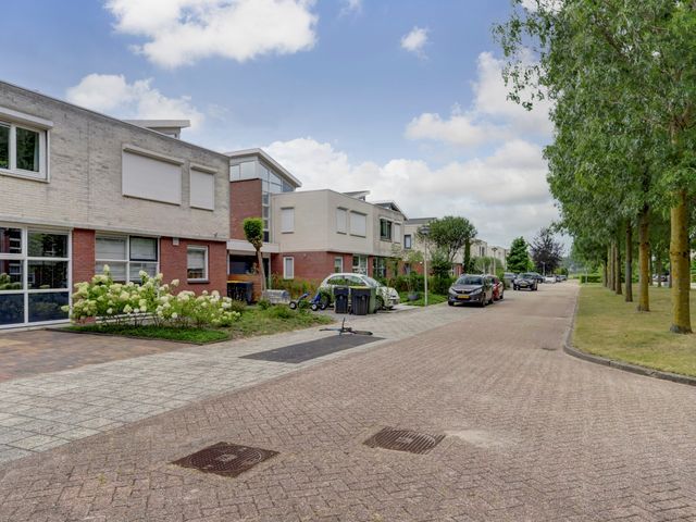 Dagpauwoog 34, 's-Gravendeel