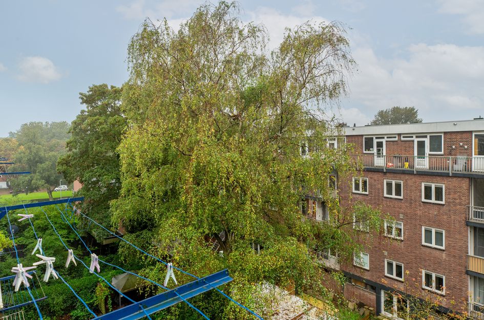 Fluitstraat 15D