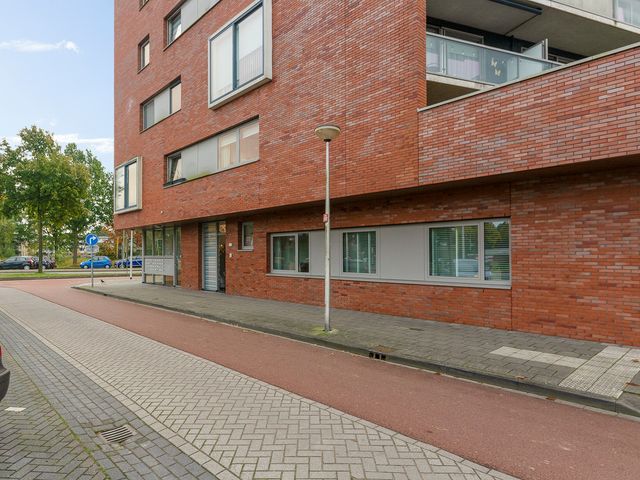 Van Randwijcklaan 113, Amersfoort