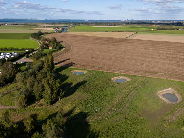 Mosseldijk 15A, Nieuwvliet