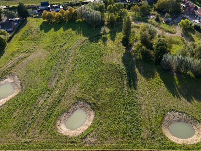 Mosseldijk 15A, Nieuwvliet