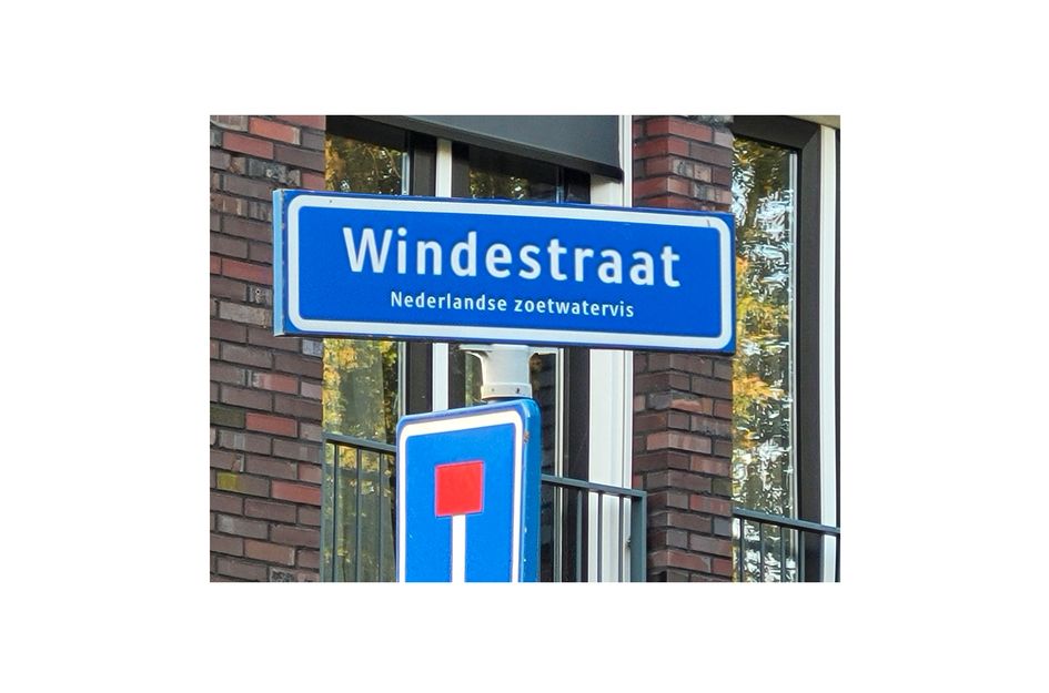 Windestraat 21