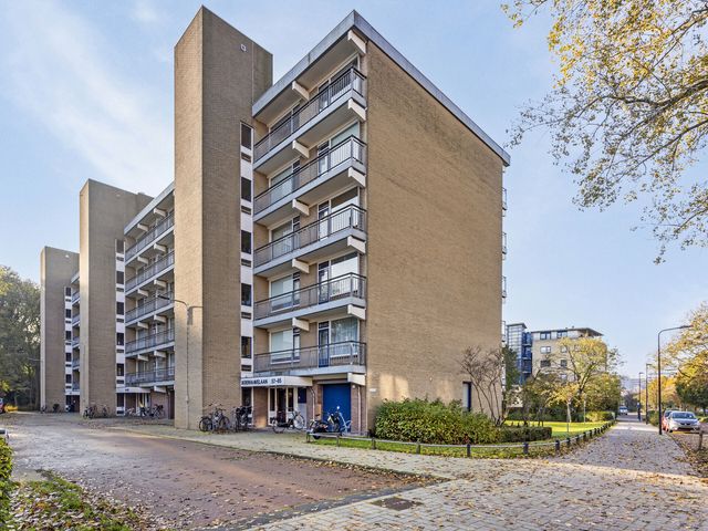 Boerhaavelaan 111, Leiden