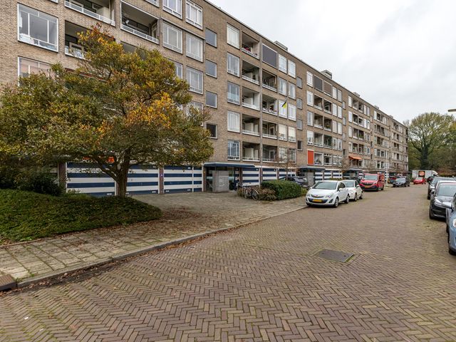 Parelmoerhorst 246, Den Haag