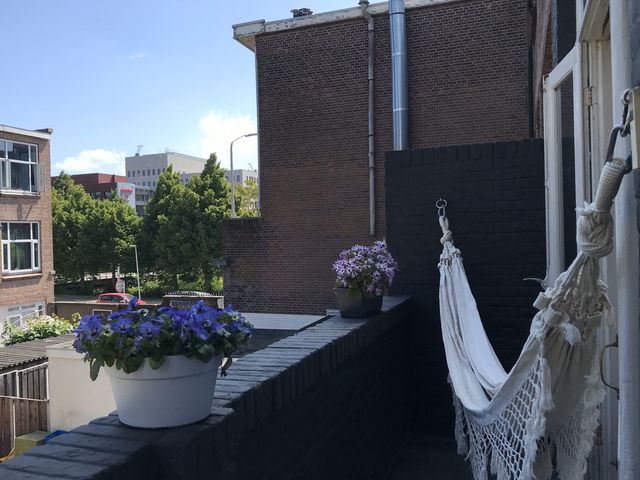 Laan van Nieuw-Oost-Indië 272, Den Haag