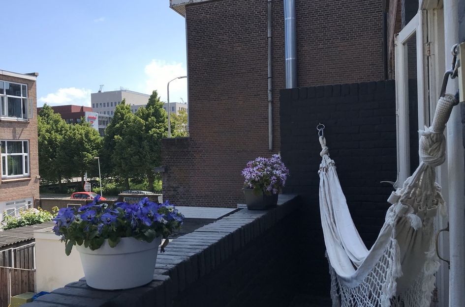 Laan van Nieuw-Oost-Indië 272