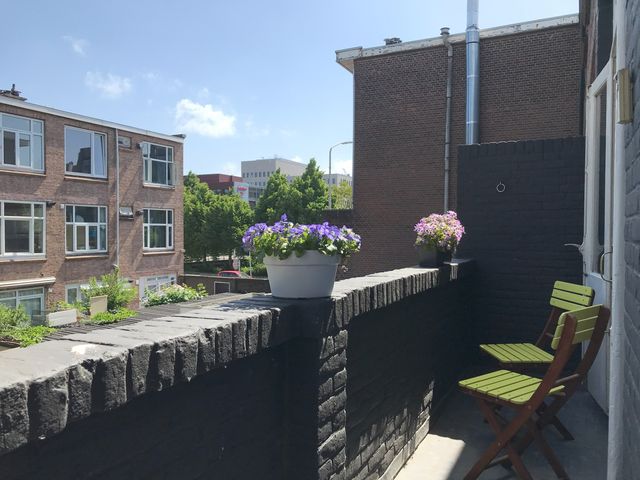 Laan van Nieuw-Oost-Indië 272, Den Haag