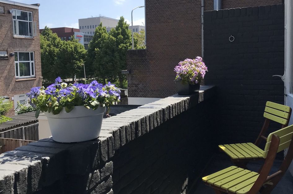 Laan van Nieuw-Oost-Indië 272