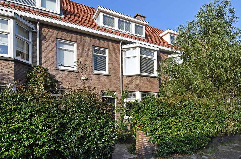 Tomatenstraat 89