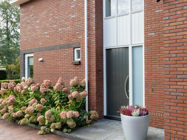 De Koppel Paarden 33, Marum