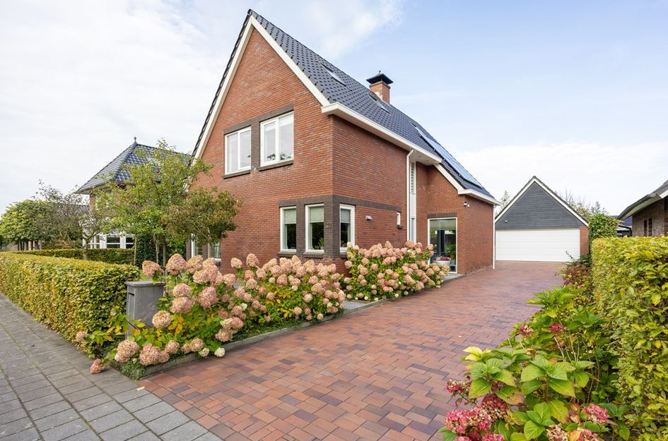 De Koppel Paarden 33