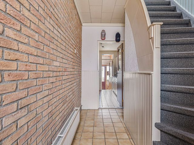 Rapenburg 66, Vogelwaarde