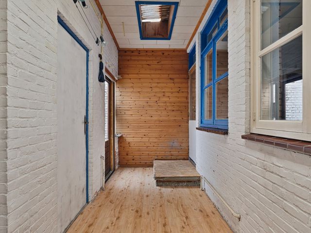 Rapenburg 66, Vogelwaarde