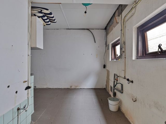 Rapenburg 66, Vogelwaarde
