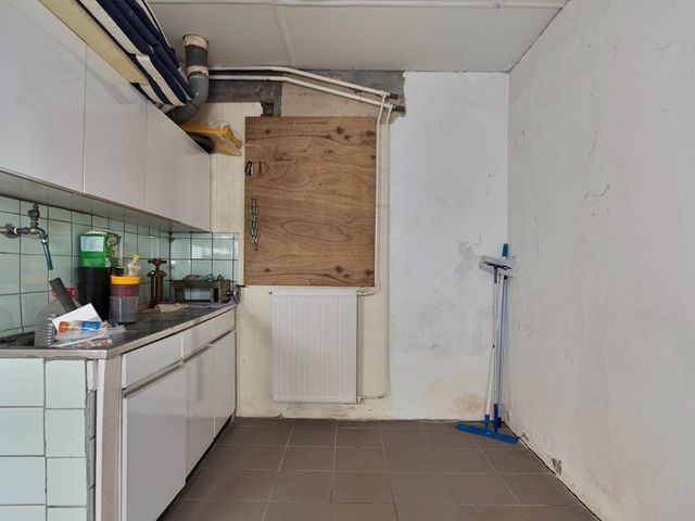 Rapenburg 66, Vogelwaarde