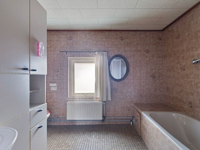 Rapenburg 66, Vogelwaarde