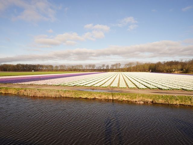 Ruigenhoekerweg 5 73, Noordwijkerhout