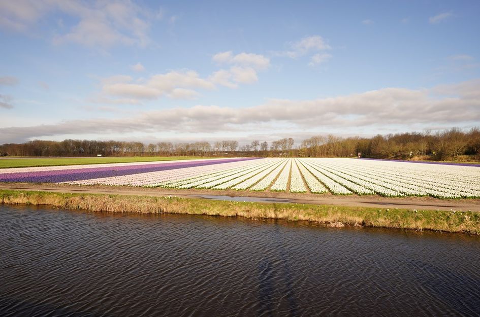 Ruigenhoekerweg 5 73