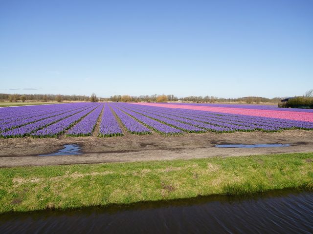 Ruigenhoekerweg 5 73, Noordwijkerhout