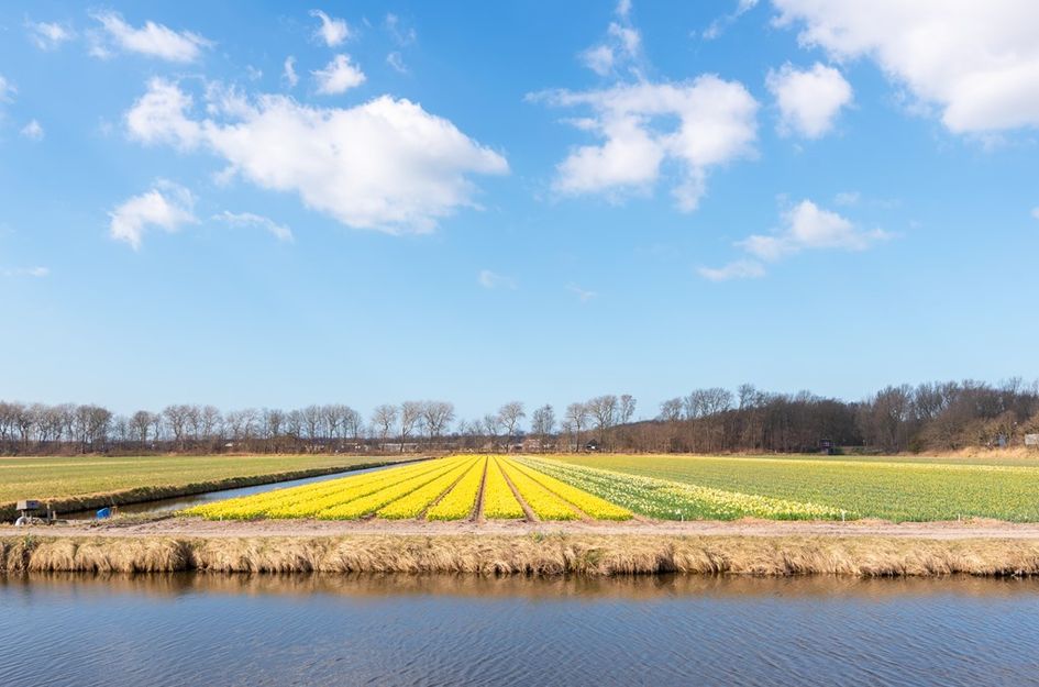 Ruigenhoekerweg 5 78