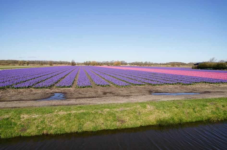 Ruigenhoekerweg 5M104