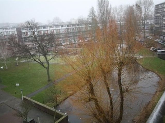 Arendshorst , Leiden