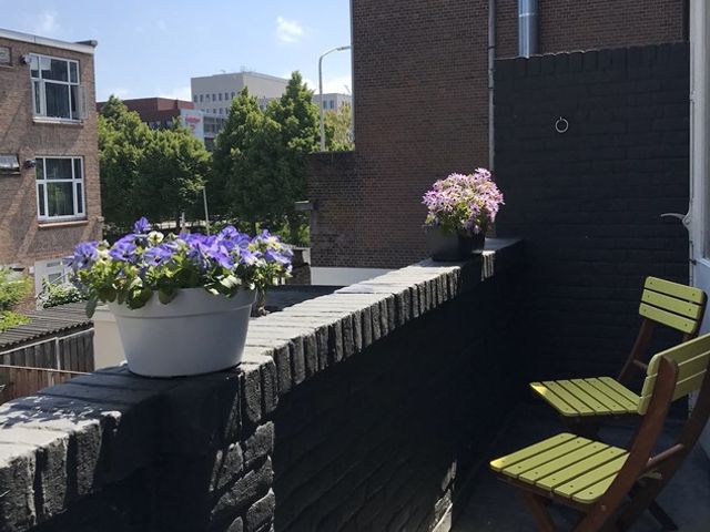 Laan van Nieuw-Oost-Indië 272, Den Haag