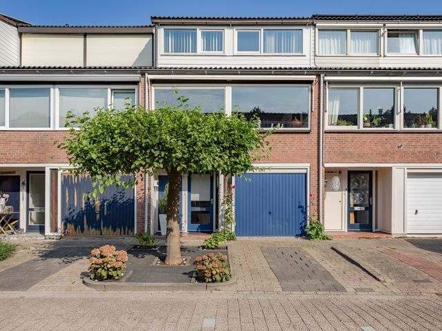 Baljuw 40, Hoorn