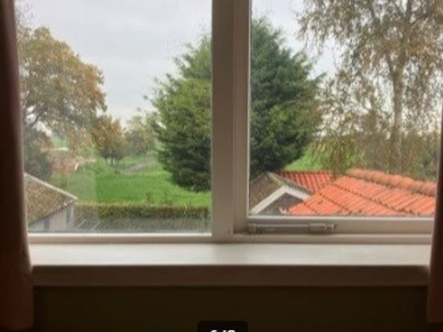 Hopweg 42C, Rutten