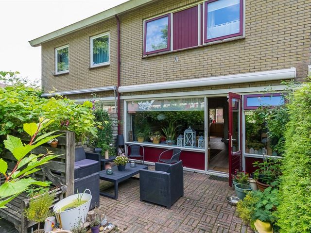 Kluut 4, Dokkum