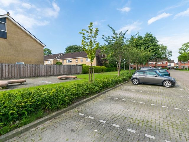 Kluut 4, Dokkum