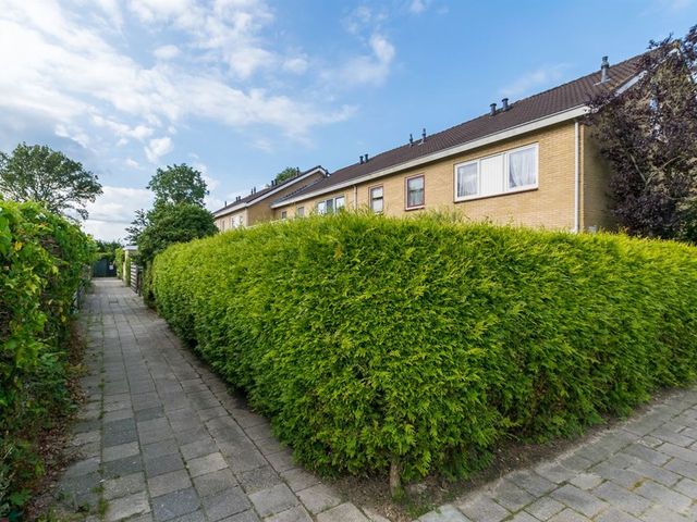 Kluut 4, Dokkum