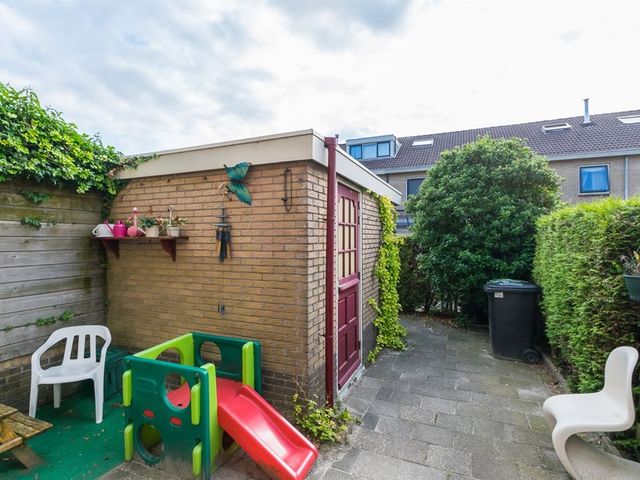 Kluut 4, Dokkum