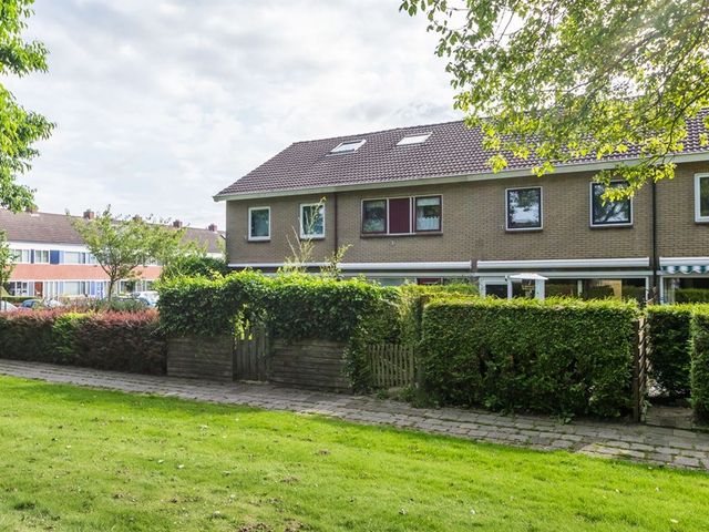 Kluut 4, Dokkum
