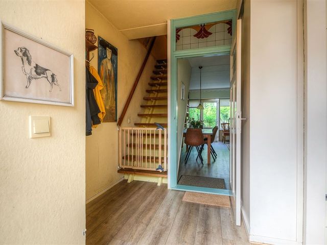 Kluut 4, Dokkum