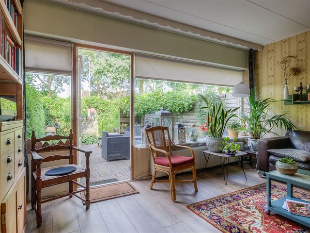 Kluut 4, Dokkum