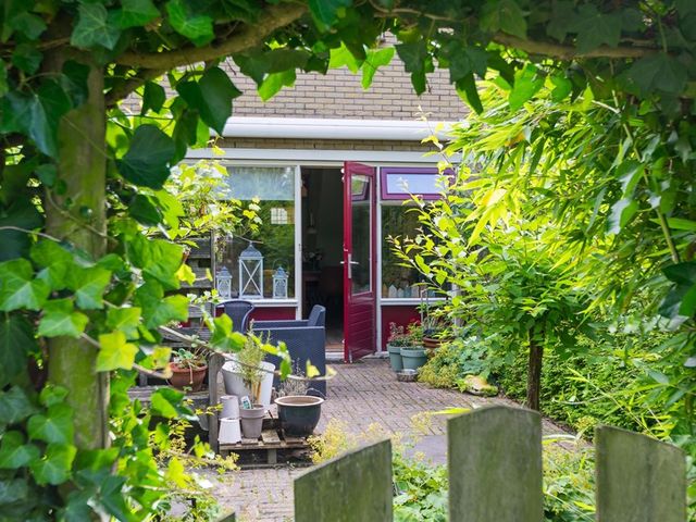 Kluut 4, Dokkum