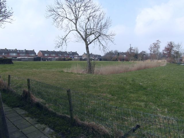 Ale-Tun 37, Holwerd