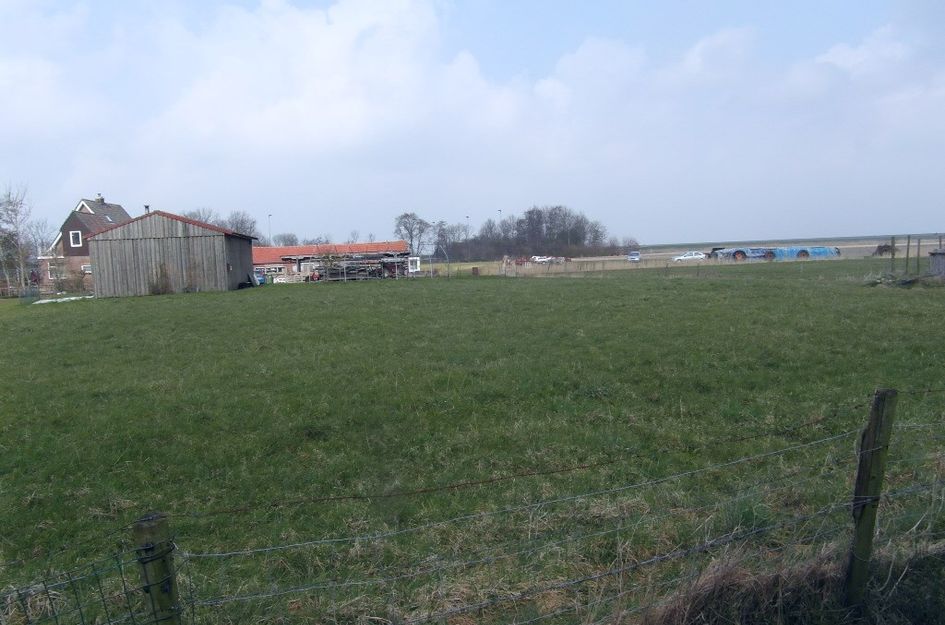 Ale-Tun 37